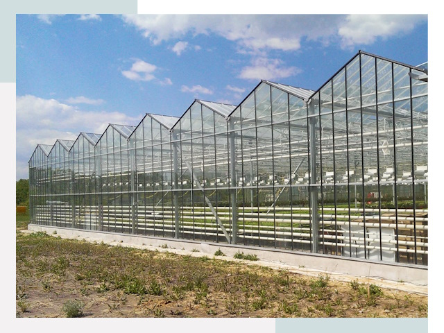 Строительство теплиц в Октябрьский от 621 руб. за м²