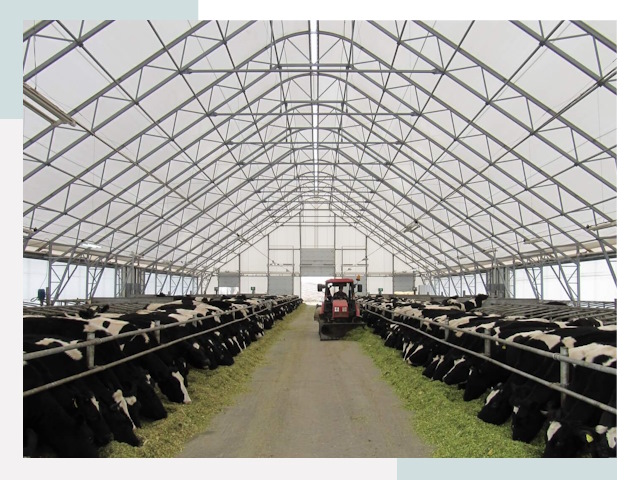 Тентовые коровники в Октябрьском от 621 руб. - Надежно и доступно